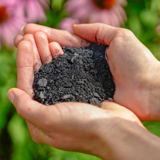RoPro-Streu-Pflanzenkohle-Uebersicht-Fischers-EM-Chiemgau